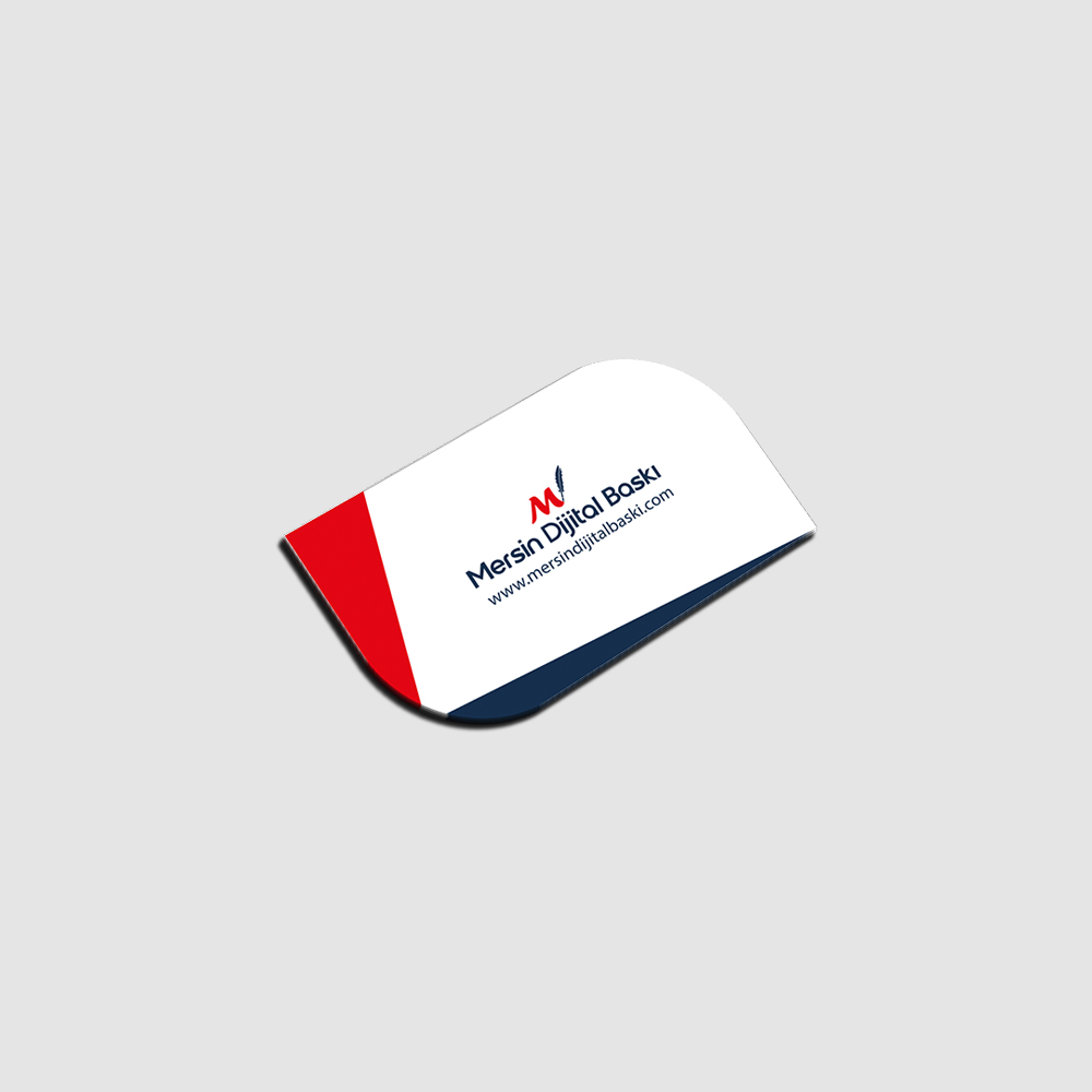 Özel Kesimli Magnet